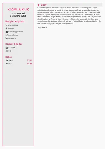 Okul Öncesi Öğretmeni Öğretmenliği Cv Örnekleri cv indir